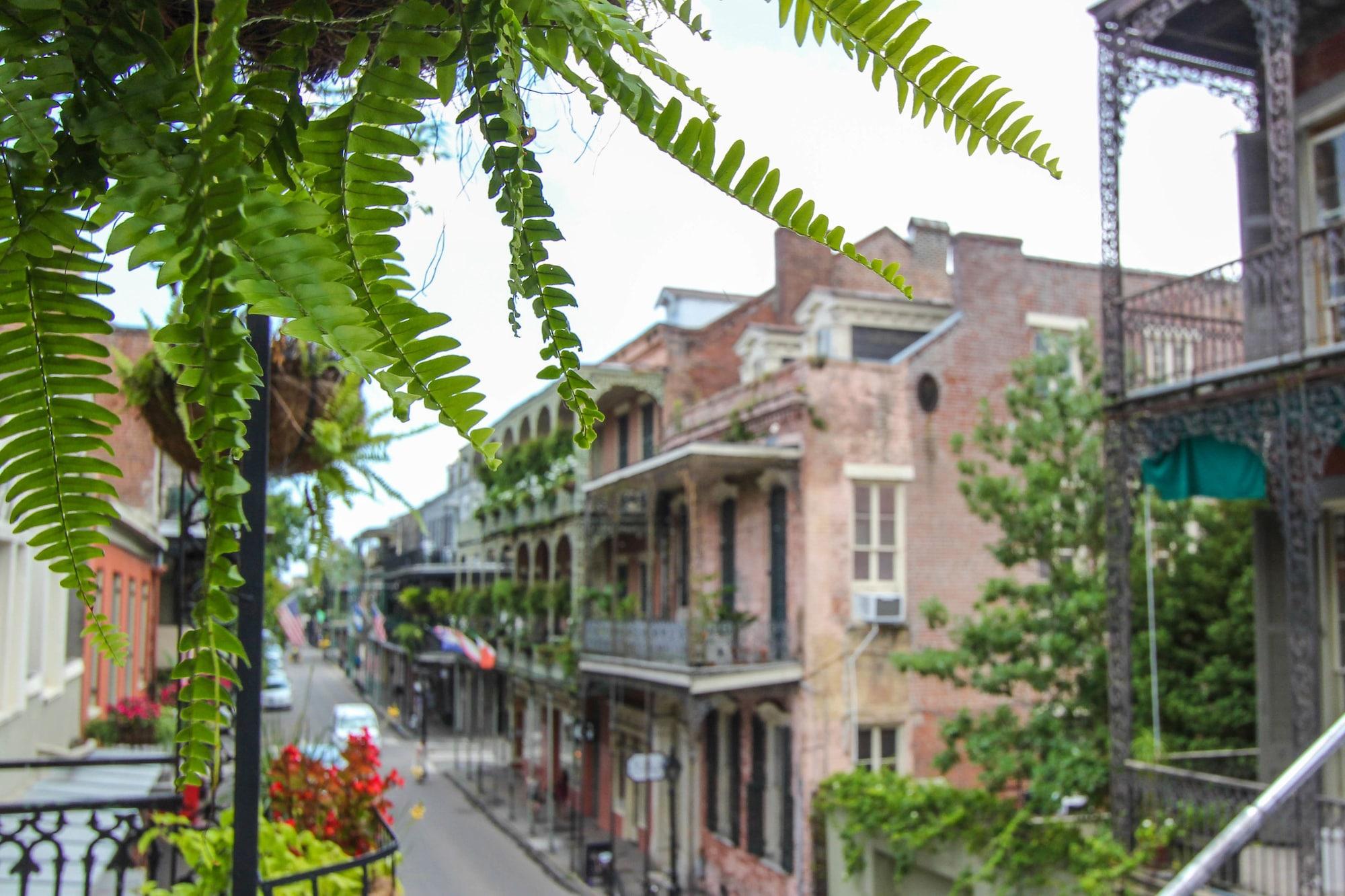 Hotel Andrew Jackson French Quarter